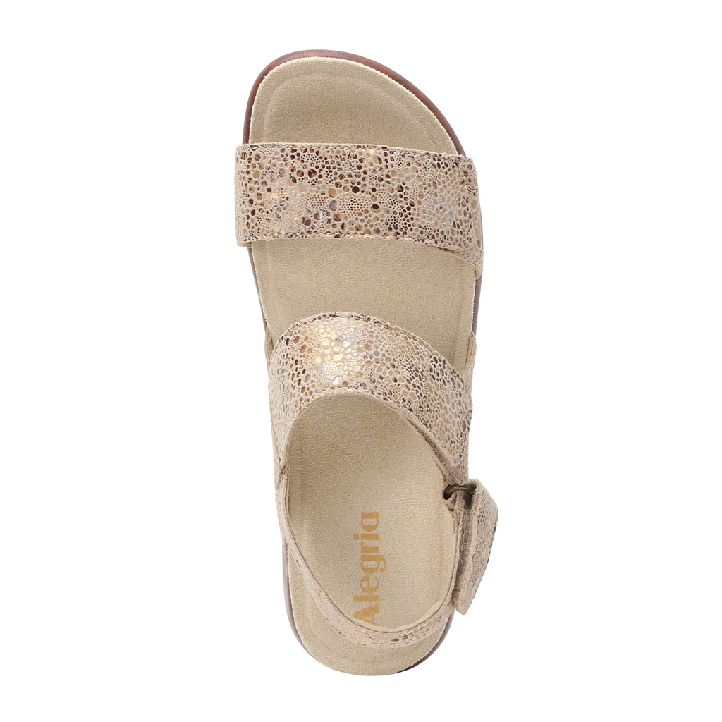 Alegria Bailee Backstrap Sandal (Women) - Walkaway